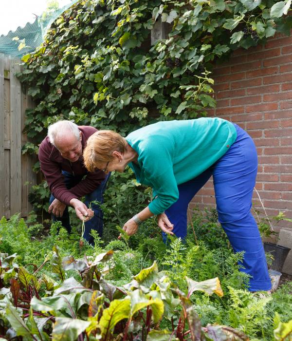 Ouder echtpaar aan het tuinieren